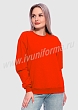 Расцветка 2