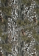 Расцветка 5